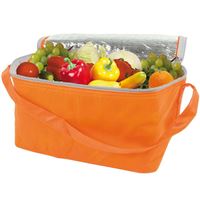 BORSA TERMICA